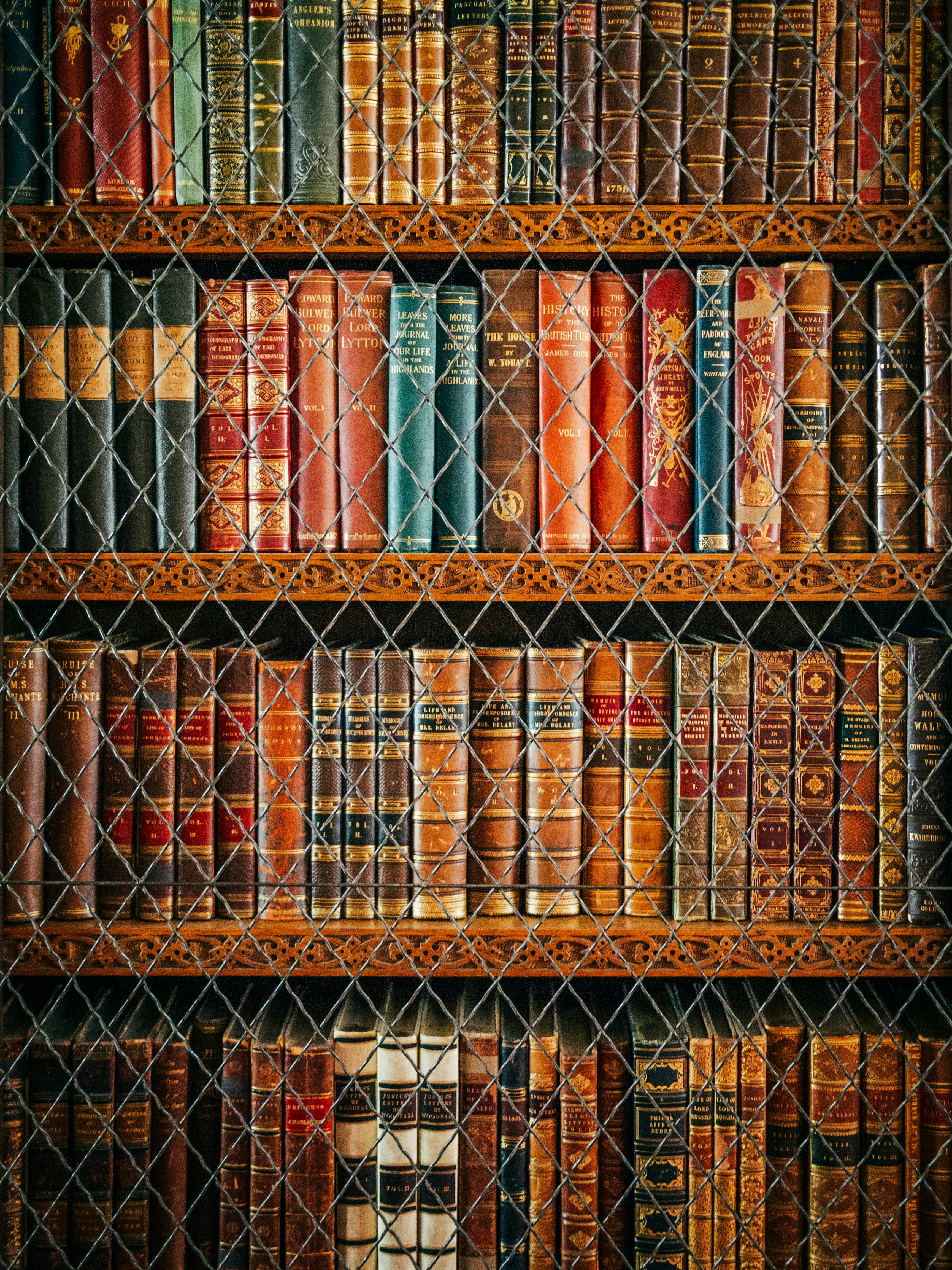 Image représentant la lecture et la correction